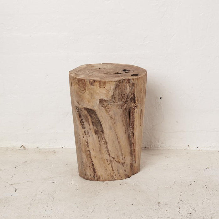 Hadi Natural Tree Stump Stool - Winston and Finch