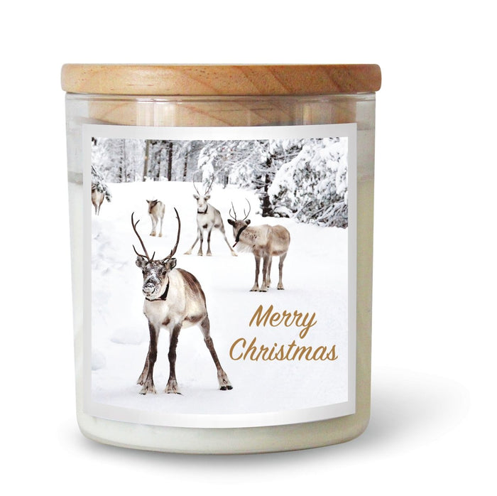 Reindeer Candle - Winston and Finch